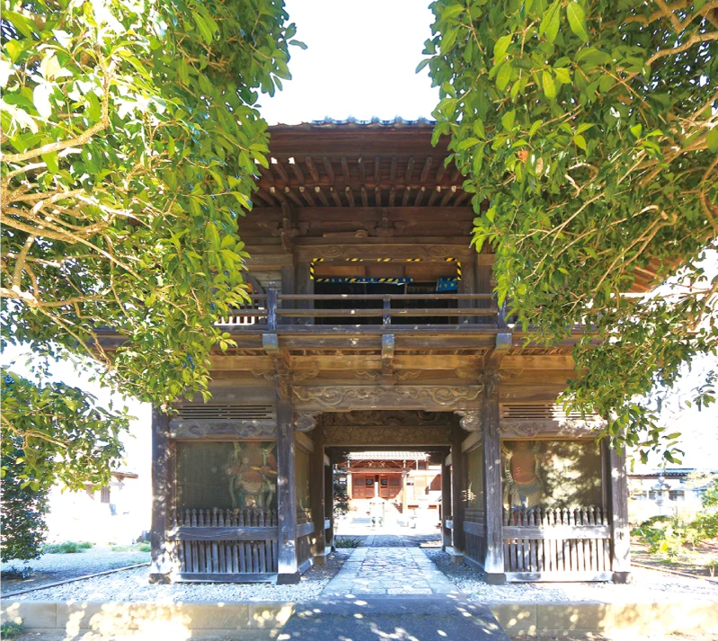 寺院 河越山 三芳野院 常楽寺